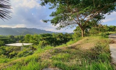 216 SQM Ready for Building Lot for Sale in Greenwoods Cebu City near Talamban with Overlooking View