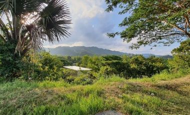 216 SQM Ready for Building Lot for Sale in Greenwoods Cebu City near Talamban with Overlooking View