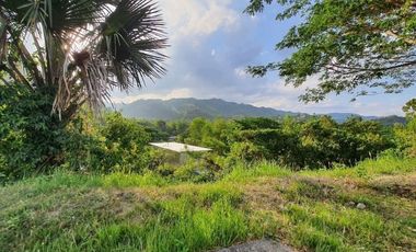 216 SQM Ready for Building Lot for Sale in Greenwoods Cebu City near Talamban with Overlooking View
