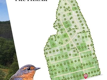 Parcelas crédito directo en Frutillar región de Los Lagos