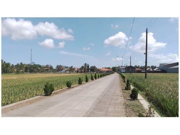 Tanah Murah 50 Jt-an; Selatan Alun-Alun Purworejo
