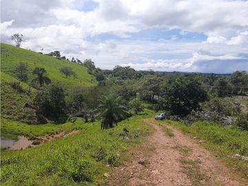 VENTA DE LOTE  EN VERAGUAS - MARIATO