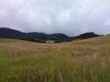 Vendo Hermosas Haciendas en la Provincia de Pichincha