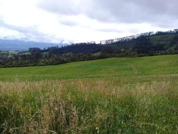 Vendo Hermosas Haciendas en la Provincia de Pichincha