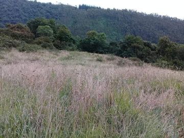Vendo Hermosas Haciendas en la Provincia de Pichincha