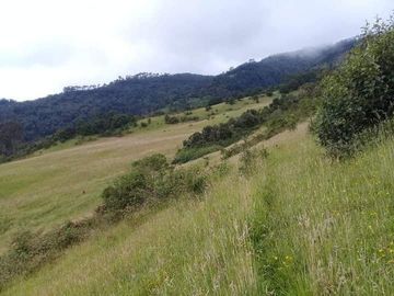 Vendo Hermosas Haciendas en la Provincia de Pichincha