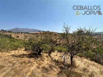 Parcela en venta en Limache