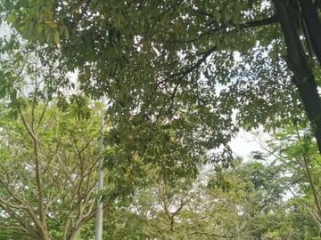 KAVLING THE ICON CLUSTER ETERNITY LUAS 291 SAMPING TAMAN DIJUAL