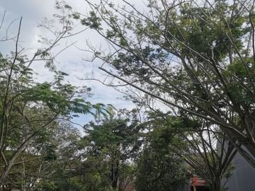 KAVLING THE ICON CLUSTER ETERNITY LUAS 291 SAMPING TAMAN DIJUAL