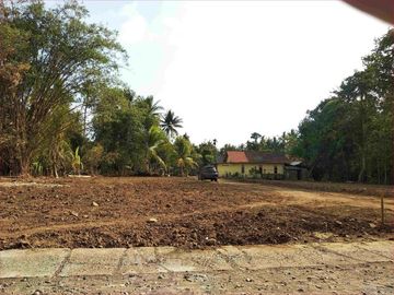 TANAH BOJONG KULONPROGO LUAS IDEAL