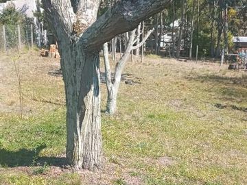Casa - Brisas Del Plata