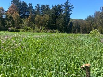 Parcela en Venta en Vichuquén
