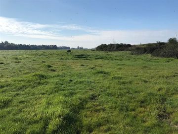 Agrícola en Venta en Chillan Viejo