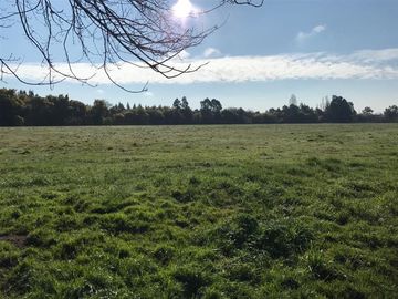 Agrícola en Venta en Chillan Viejo