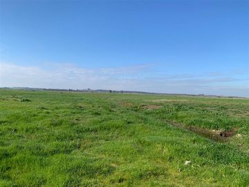Agrícola en Venta en Chillan Viejo