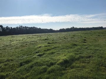 Agrícola en Venta en Chillan Viejo