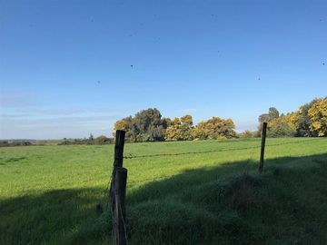 Agrícola en Venta en Chillan Viejo
