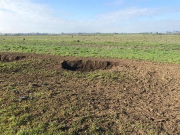 Agrícola en Venta en Chillan Viejo