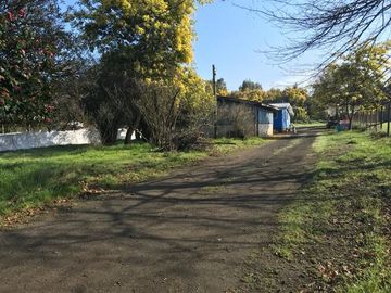 Agrícola en Venta en Chillan Viejo