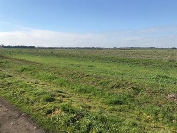 Agrícola en Venta en Chillan Viejo