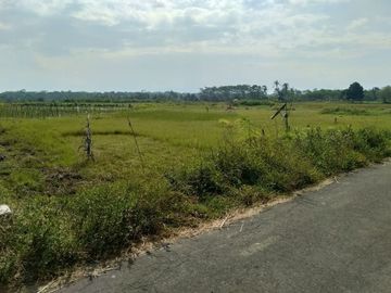 Tanah Kapling SHM, Blondo Asri Magelang Standar Perumahan