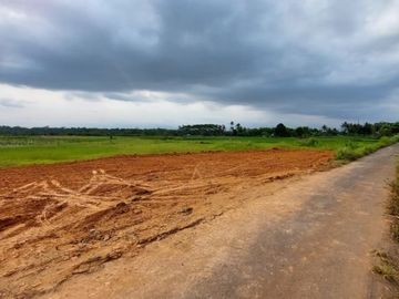 Tanah Kapling SHM, Blondo Asri Magelang Standar Perumahan