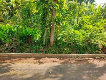 Dijual Tanah Super Datar 1500m2 Kerjo Karanganyar