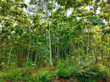 Dijual Tanah Super Datar 1500m2 Kerjo Karanganyar