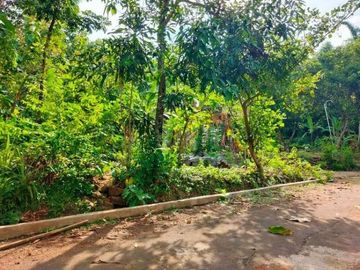 Dijual Tanah Super Datar 1500m2 Kerjo Karanganyar