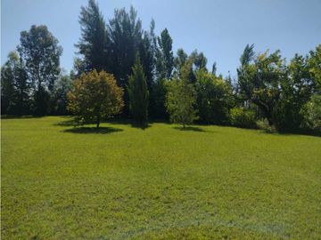 CASA QUINTA CON PARQUE DE 100 AÑOS SAN RAFAEL MENDOZA