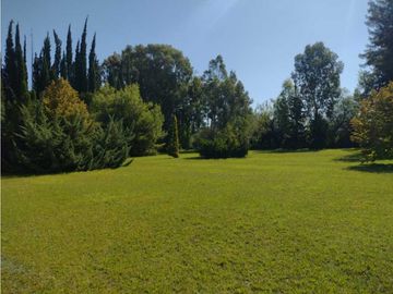 CASA QUINTA CON PARQUE DE 100 AÑOS SAN RAFAEL MENDOZA