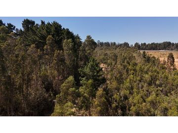 CURAUMA CAMINO LA POLVORA / URBANIZADO / SITIO 18.400 M2