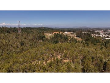 CURAUMA CAMINO LA POLVORA / URBANIZADO / SITIO 18.400 M2
