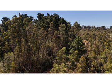 CURAUMA CAMINO LA POLVORA / URBANIZADO / SITIO 18.400 M2