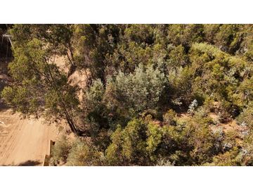 CURAUMA CAMINO LA POLVORA / URBANIZADO / SITIO 18.400 M2