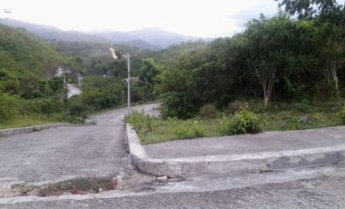 Affordable 266 Sqm Overlooking Lot for Sale in Consolacion Cebu with Mountain View
