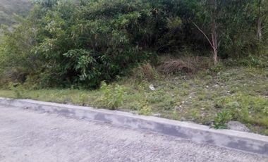 Affordable 266 Sqm Overlooking Lot for Sale in Consolacion Cebu with Mountain View