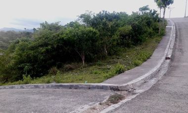 Affordable 266 Sqm Overlooking Lot for Sale in Consolacion Cebu with Mountain View