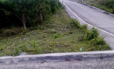 Affordable 266 Sqm Overlooking Lot for Sale in Consolacion Cebu with Mountain View