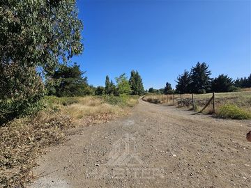 Sitio en Venta en Sector El Avellano