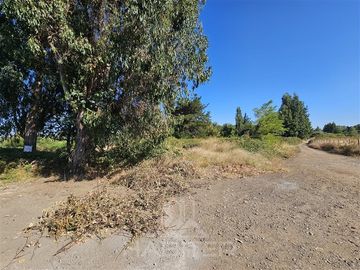 Sitio en Venta en Sector El Avellano