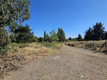 Sitio en Venta en Sector El Avellano