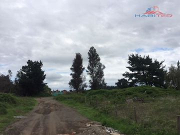 Sitio en Venta en Sector El Avellano