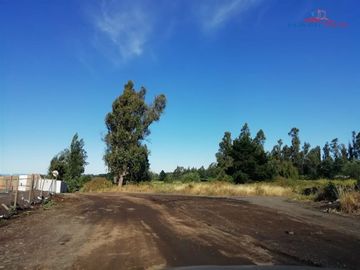 Sitio en Venta en Sector El Avellano