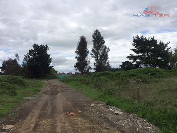 Sitio en Venta en Sector El Avellano