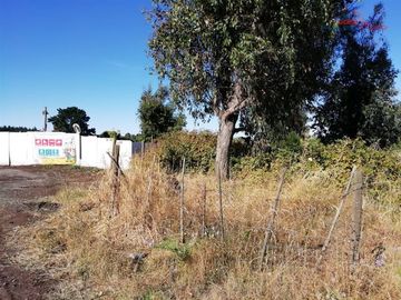 Sitio en Venta en Sector El Avellano