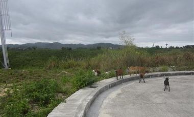 Subdivision Lot for Sale in Vista Verde Consolacion