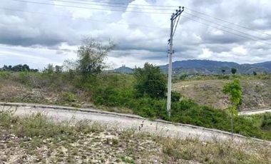 Subdivision Lot for Sale in Vista Verde Consolacion