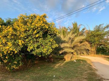 GORGEOUS 5 BED / 5 BATH HOME WITH 155 METERS OF RIVERSIDE JUST 15 KM FROM DOWNTOWN KANCHANABURI!!!