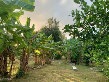 GORGEOUS 5 BED / 5 BATH HOME WITH 155 METERS OF RIVERSIDE JUST 15 KM FROM DOWNTOWN KANCHANABURI!!!